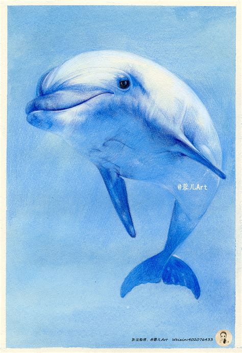 画海豚 简单漂亮